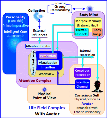 life-field-complex