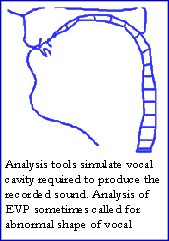 voice_simulation